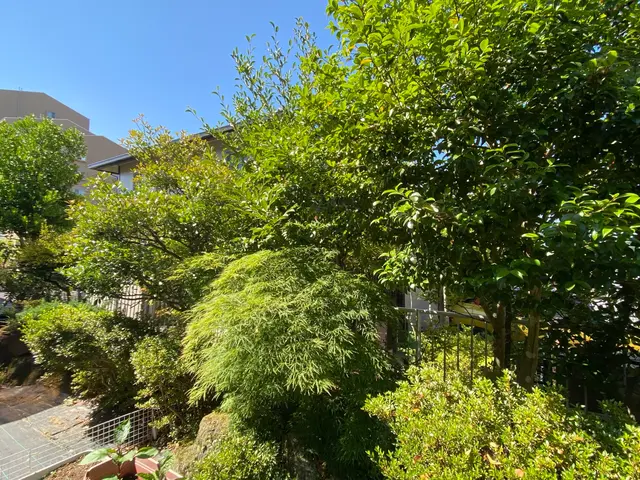 2024年6月参入しました！【お庭を楽しく長期的に管理したい方】植木の剪定サービスの画像