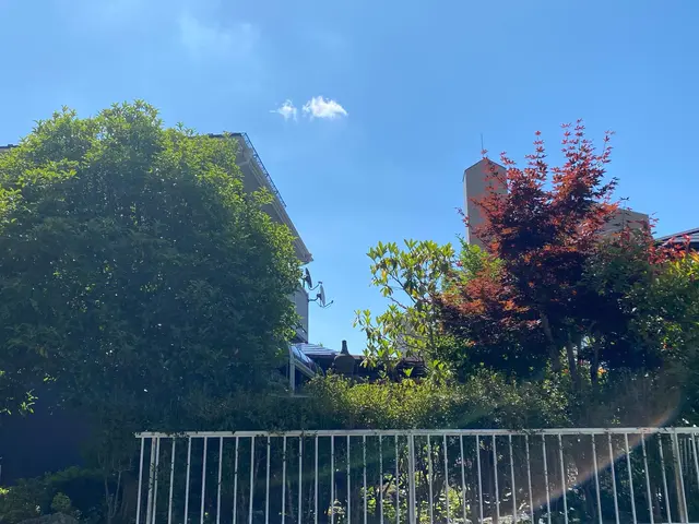 2024年6月参入しました！【お庭を楽しく長期的に管理したい方】植木の剪定サービスの画像