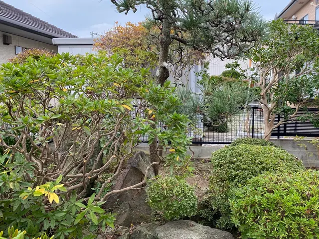 2024年6月参入しました！【お庭を楽しく長期的に管理したい方】植木の剪定サービスの画像