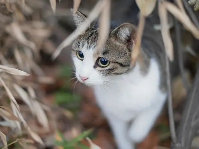 【業界歴20年以上の経験実績】作業の外注は一切しません★年中無休営業です◎サービスの画像
