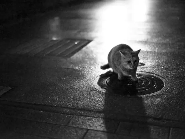 【業界歴20年以上の経験実績】作業の外注は一切しません★年中無休営業です◎サービスの画像