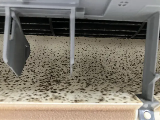 ★オープンから人気急上昇中★清潔感と丁寧な作業で大好評！複数台がお得です◎サービスの画像