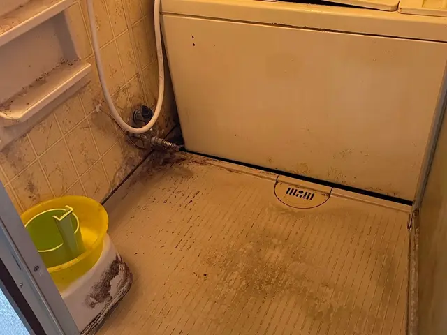 お得な３点セット【換気扇・キッチン・お風呂場】女性スタッフ同行可能。サービスの画像