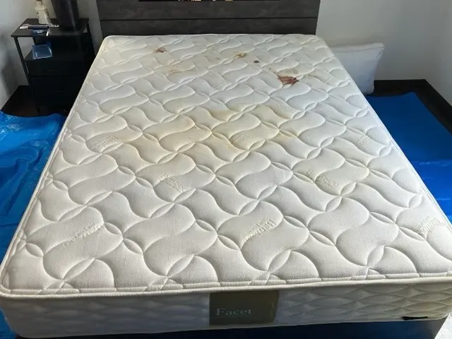 ペットの粗相、ダニ、臭い、汚れ！マットレスクリーニング専門店。経験と技術！サービスの画像