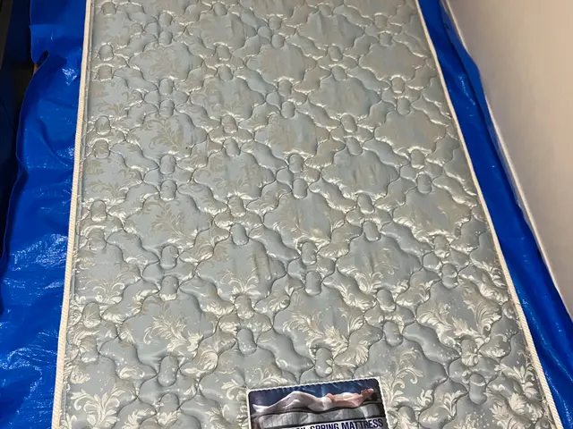 ペットの粗相、ダニ、臭い、汚れ！マットレスクリーニング専門店。経験と技術！サービスの画像