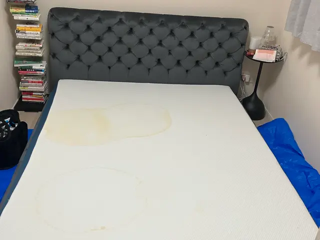 ペットの粗相、ダニ、臭い、汚れ！マットレスクリーニング専門店。経験と技術！サービスの画像