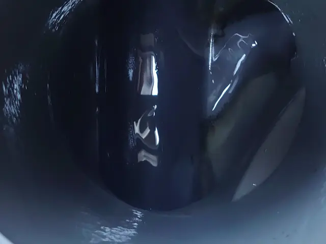 【地域密着・親切丁寧】屋内洗浄もお任せ下さい●気になる下水のトラブル即解決！サービスの画像