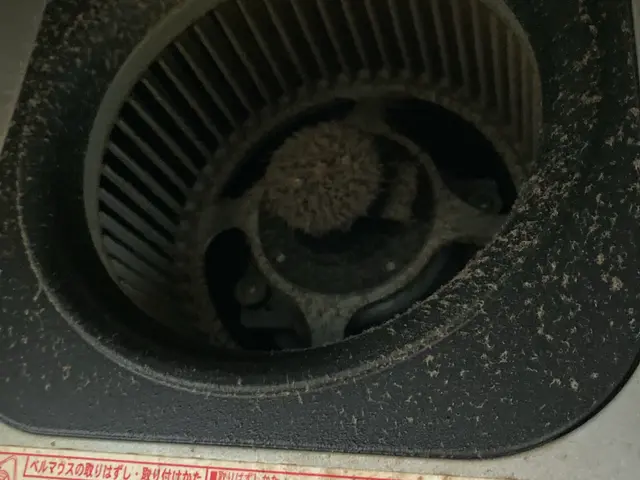 早めの大掃除はセットがお得！12月のご予約受付中！サービスの画像