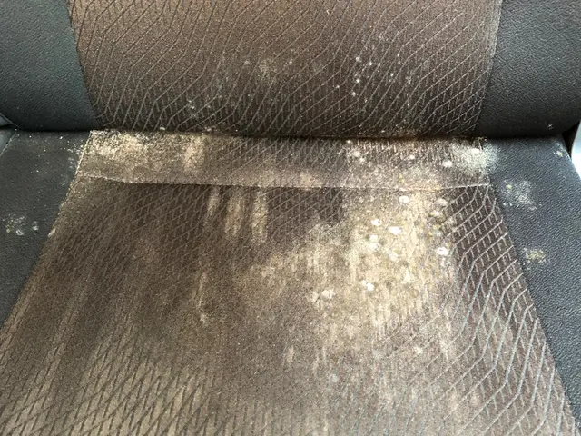 【業歴20年以上！】車内丸ごと洗浄 年中無休で営業中！全て自社対応◎サービスの画像