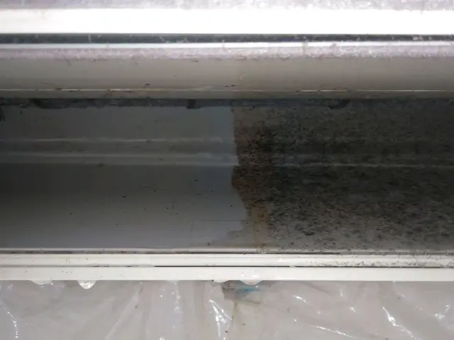 10/31pm〜可！​カビが乾燥して飛ぶ前にリセット。大掃除予約で混む前にbサービスの画像