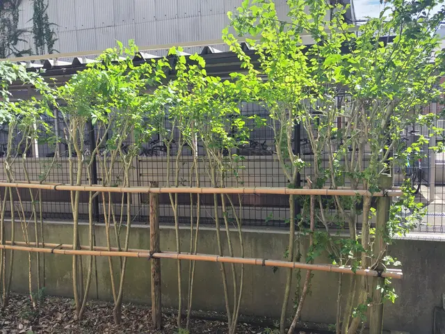 ◎鶴岡市◎地域密着店◎公共施設での実績多数◎アフターフォローも万全サービスの画像