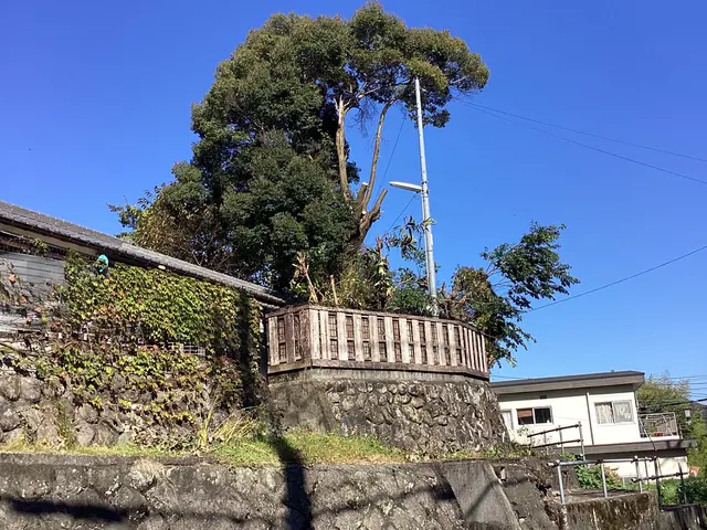 高い木(20メートル)、狭い場所も可。高所作業車有り。paypay可。日程相談可サービスの画像