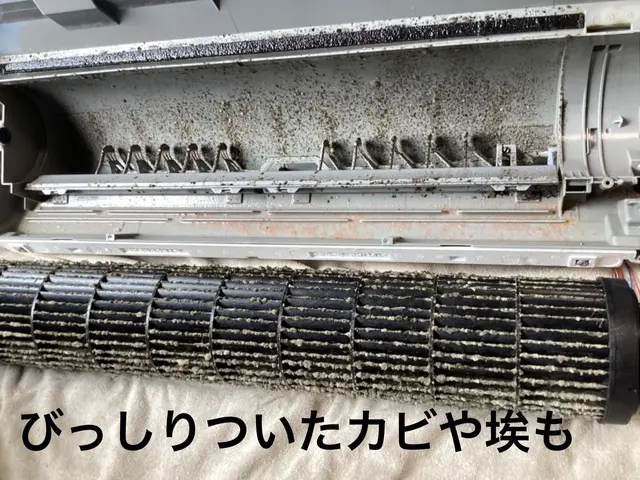大手清掃会社での実績を活かしてしっかり洗浄します！出店記念今だけ激安！サービスの画像