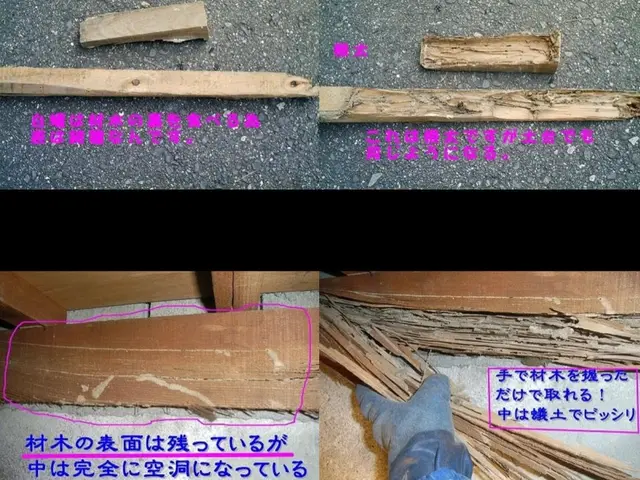 シロアリ対策一筋創業40年◆クレカ対応◆安心5年保証◆大手実績35年◆有資格者◆サービスの画像