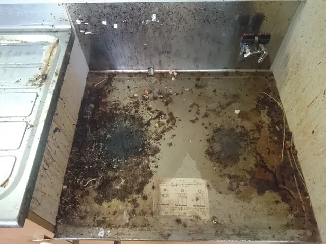 旭川のキッチンクリーニング シンクの水垢、調理機器周りの油汚れがキレイにリセットサービスの画像