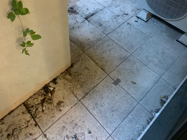 お客様のお力になります！経験と知識を活かして迅速丁寧に作業いたしますサービスの画像