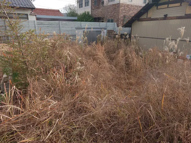 草刈り作業サービスの画像