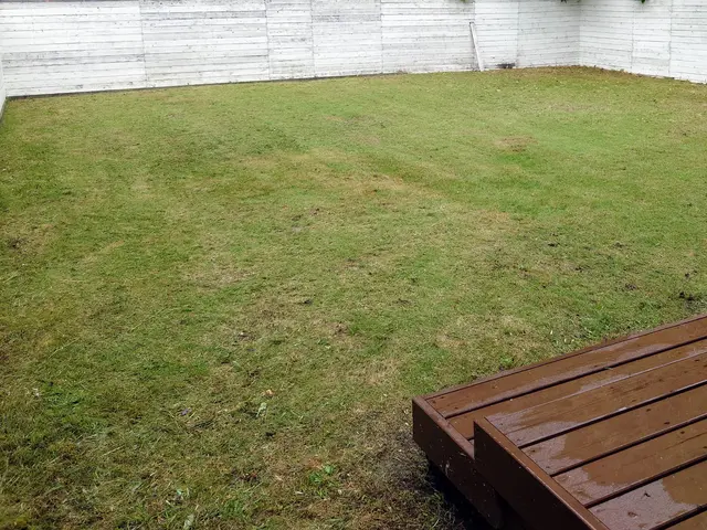 草刈り作業サービスの画像