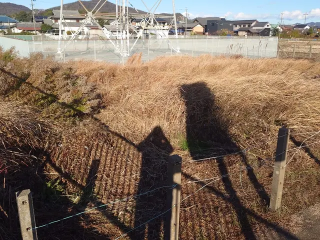 草刈り作業サービスの画像