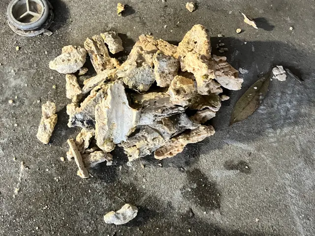 排水溝・排水管のメンテナンス清掃。 詰る前に！お家まるごと排水管洗浄サービスの画像