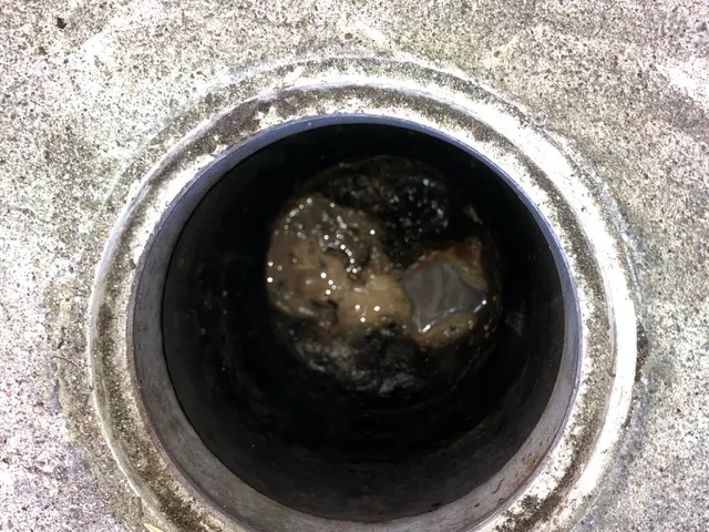 排水溝・排水管のメンテナンス清掃。 詰る前に！お家まるごと排水管洗浄サービスの画像