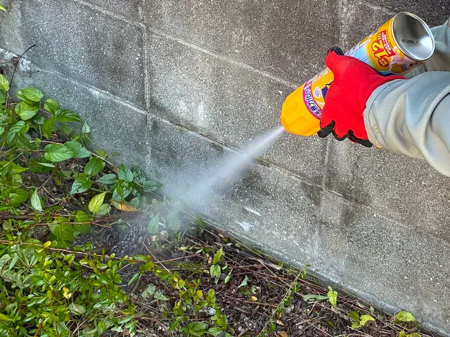 ◆放っておくと危険です◆ハチの巣駆除は弊社にお任せ下さい！迅速丁寧な対応◎サービスの画像