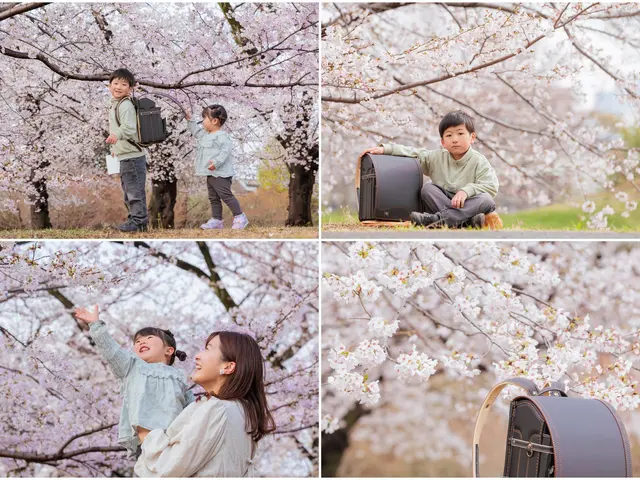 【浦安発】幼稚園・保育園での撮影経験｜家族・七五三・お宮参り出張撮影