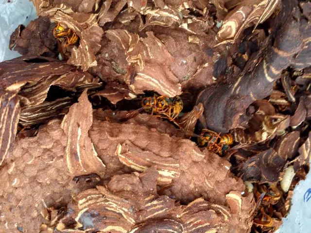 いすみ市から伺います！学校施設や政府関連施設の施行も多数行った実績があります。サービスの画像