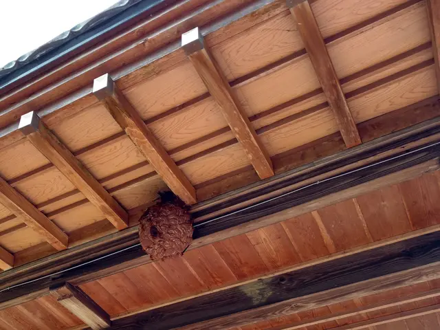 いすみ市から伺います！学校施設や政府関連施設の施行も多数行った実績があります。サービスの画像