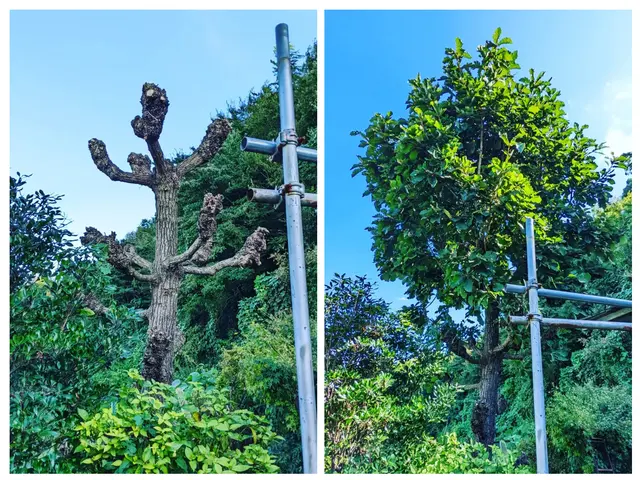 《女性スタッフ活躍中！》◆対応地域外でもご相談歓迎◆自信の完全自社施工◎サービスの画像