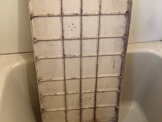 浴槽から天井まで完全洗浄でお風呂が蘇る！サービスの画像