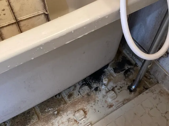 浴槽から天井まで完全洗浄でお風呂が蘇る！サービスの画像