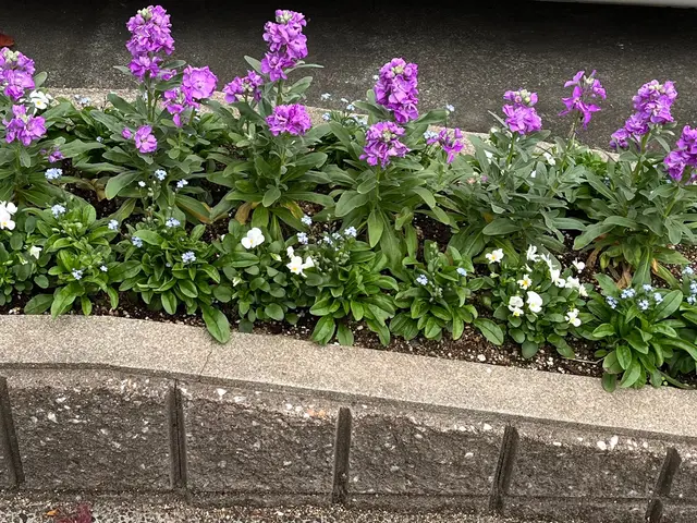 【女性スタッフ対応◎】プロの技術で納得の仕上がりに！ご要望にお応えします。サービスの画像