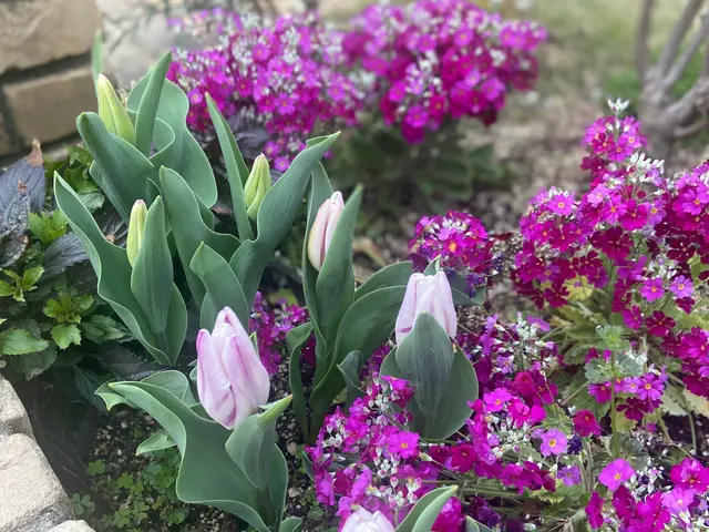 【女性スタッフ対応◎】プロの技術で納得の仕上がりに！ご要望にお応えします。サービスの画像