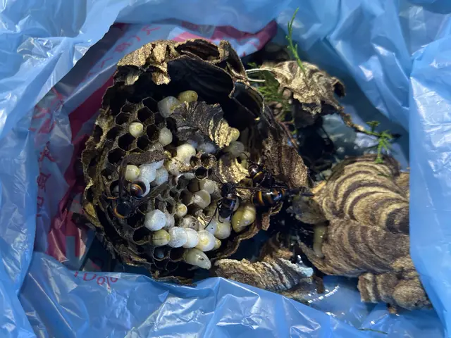 ◆24時間いつでも対応OK◆業歴15年の経験と実績◆アフターフォローも万全サービスの画像