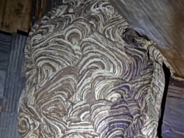 ◆24時間いつでも対応OK◆業歴15年の経験と実績◆アフターフォローも万全サービスの画像