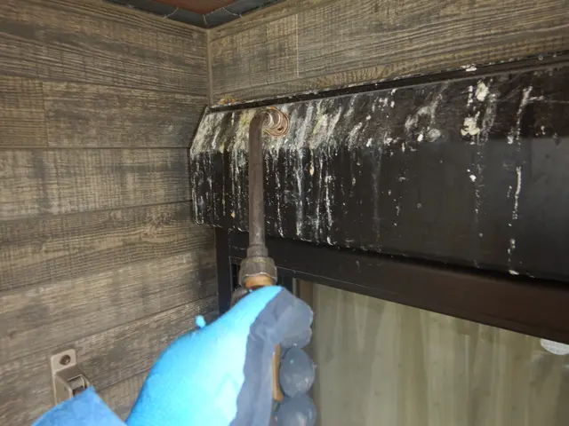 マンション等、防鳥ネット設置工事、戸建での太陽光パネル鳩対策工事サービスの画像