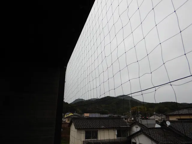 マンション等、防鳥ネット設置工事、戸建での太陽光パネル鳩対策工事サービスの画像