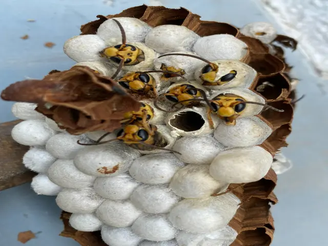 駐車場代お店負担！作業外注一切なし◎経験年数23年！豊富な経験と知識で安心♪サービスの画像