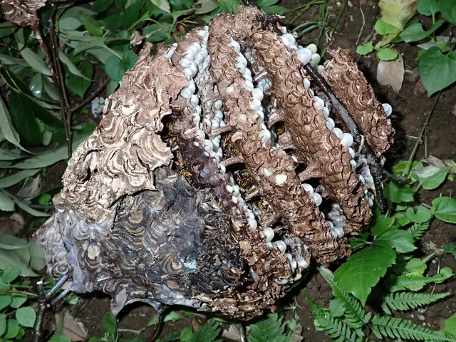 駐車場代お店負担！作業外注一切なし◎経験年数23年！豊富な経験と知識で安心♪サービスの画像