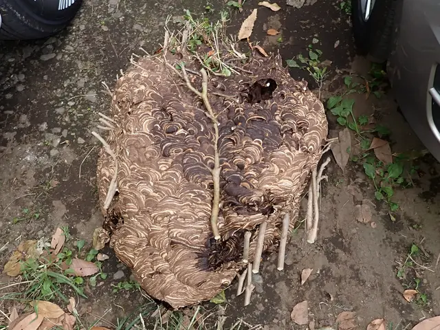 駐車場代お店負担！作業外注一切なし◎経験年数23年！豊富な経験と知識で安心♪サービスの画像