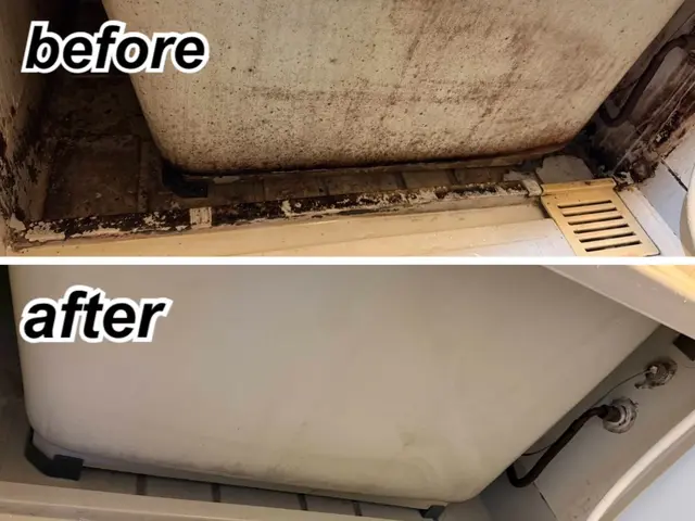 ハウスクリーニング！最短翌日対応◎女性スタッフ同行◎サービスの画像