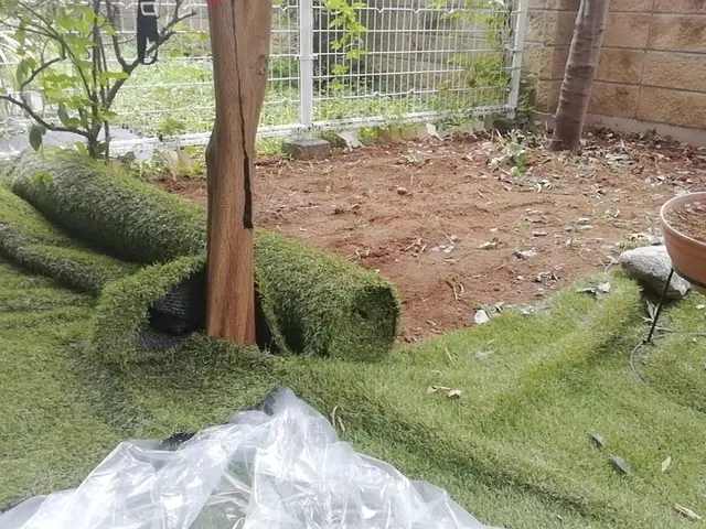 【地域密着】業界30年の経験実績！ぜひ、一度プロの技をお試しください!サービスの画像