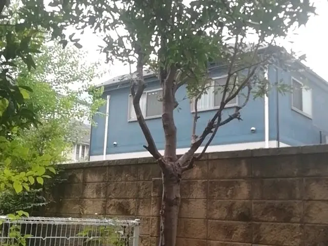 【地域密着】業界30年の経験実績！ぜひ、一度プロの技をお試しください!サービスの画像