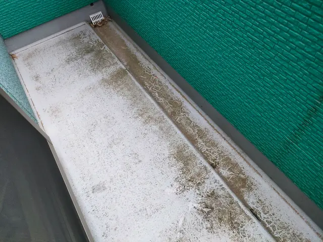 【高圧洗浄でスッキリ】床・壁・排水溝・手すり等・網戸・窓、サッシの簡易清掃セットサービスの画像