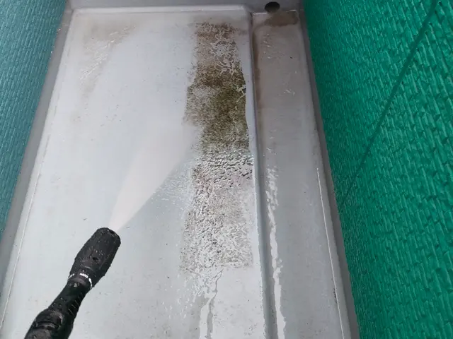 【高圧洗浄でスッキリ】床・壁・排水溝・手すり等・網戸・窓、サッシの簡易清掃セットサービスの画像