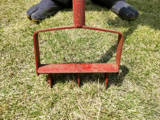 【業歴40年二代目店長】お庭と植木に合わせたお手入れとアドバイスいたしますサービスの画像