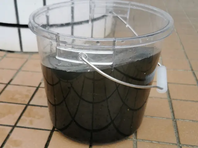 吹き抜けなどの高所作業OK!アフターフォロー付き！写真や動画OK!インボイス対応サービスの画像