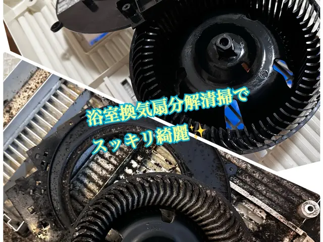 お風呂場バイオ高圧洗浄◆自社対応でお風呂場カビ、黒ずみ、白い汚れ、シリカも対応！サービスの画像