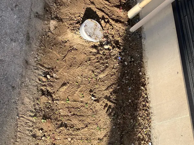 【草むしり】お庭の雑草を処理して気持ちいいお庭に！そんなご要望に応えます！サービスの画像